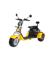 Sky Trike 3 Tekerlekli Elektrikli Motosiklet
