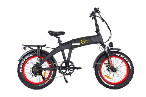 Citycoco 250W Siyah Fat Bike Mini